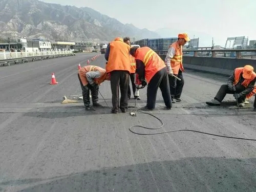 龙州道路桥梁病害治理